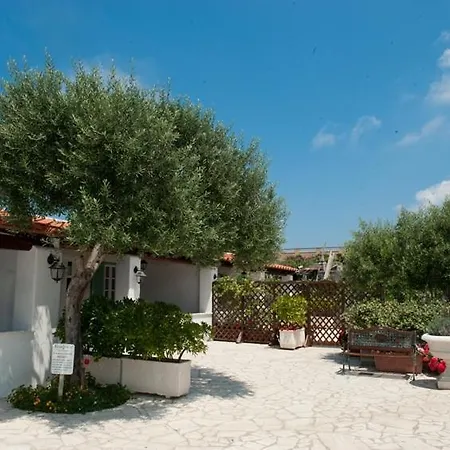 葡萄园公寓 3* Forio di Ischia