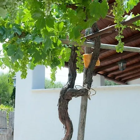 Aparthotel Le Vigne